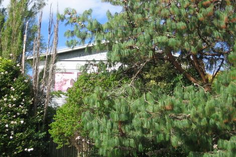 Photo of property in 46 Newington Road, Henderson, Auckland, 0612