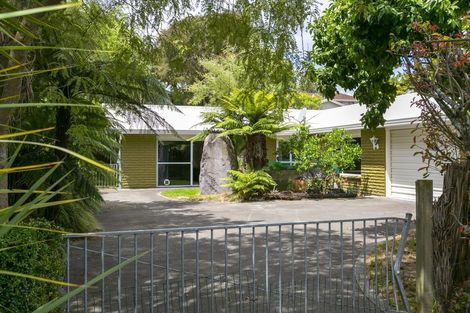 Photo of property in 40 Hinekura Avenue, Taupo, 3330
