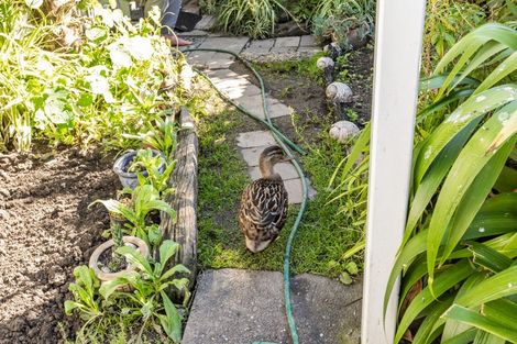 Photo of property in 2/88 Guppy Road, Greenmeadows, Napier, 4112