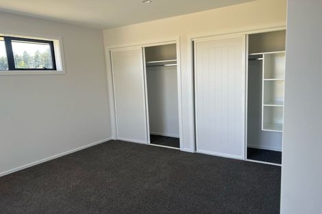 Photo of property in 99 Barkers Road, Methven, 7730
