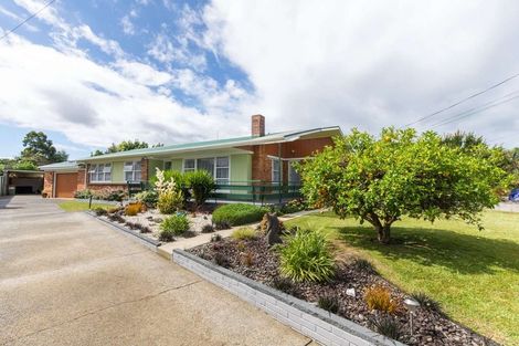 Photo of property in 17 Sussex Street, Chartwell, Hamilton, 3210