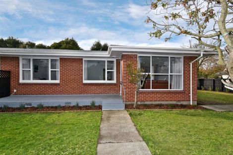 Photo of property in 24 Rountree Street, Upper Riccarton, Christchurch, 8041