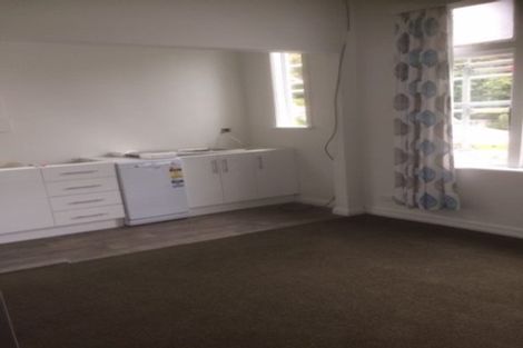 Photo of property in 164a Hanson Street, Newtown, Wellington, 6021