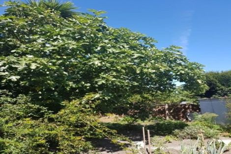 Photo of property in 2/590 Hereford Street, Linwood, Christchurch, 8011