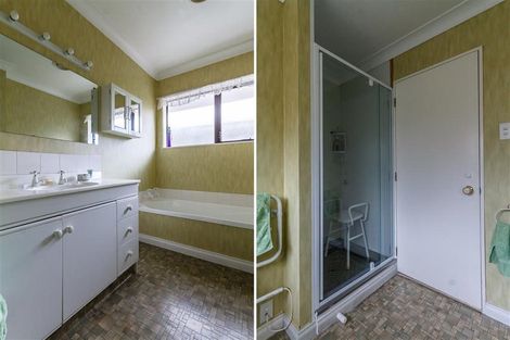 Photo of property in 88 Churchill Avenue, Hokowhitu, Palmerston North, 4410