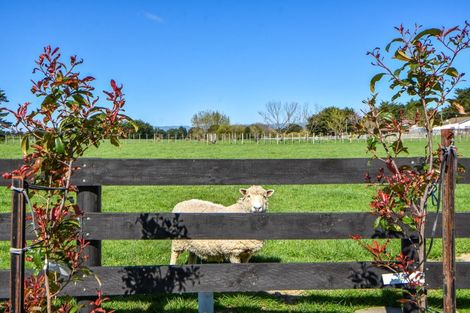 Photo of property in 546 Belvedere Road, Carrington, Carterton, 5791