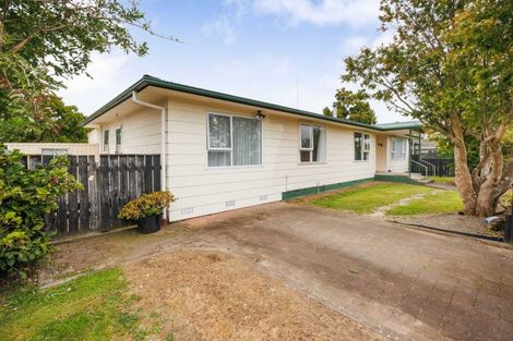 Photo of property in 127 Stanford Street North, Ashhurst, 4810