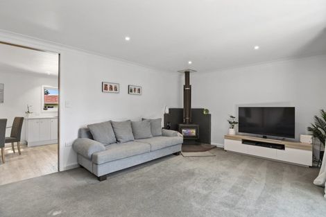 Photo of property in 51 Roto Street, Tahunanui, Nelson, 7011