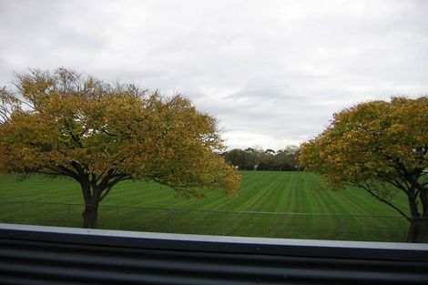 Photo of property in 16 Freyberg Street, Roslyn, Palmerston North, 4414