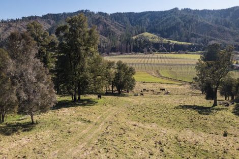 Photo of property in 499 Tadmor Valley Road, Tapawera, Wakefield, 7096