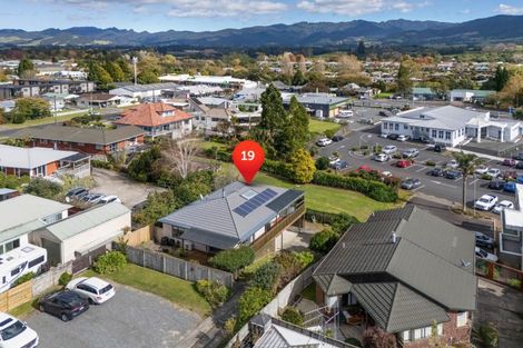 Photo of property in 19b Carisbrooke Street, Katikati, 3129