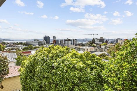 Photo of property in 219f6 Grant Road, Thorndon, Wellington, 6011