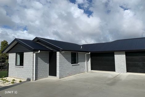 Photo of property in 23u2 Ross Crescent, Fairfield, Hamilton, 3214