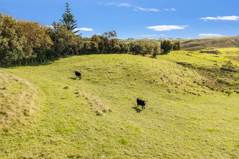 Photo of property in 402 Baylys Coast Road, Dargaville, 0377