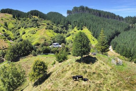 Photo of property in 1377e Manawahe Road, Manawahe, Whakatane, 3194