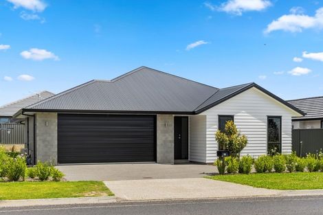 Photo of property in 91 Kennedy Road, Pyes Pa, Tauranga, 3112