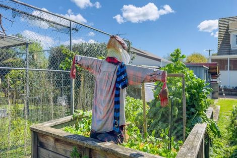 Photo of property in 11 Miro Street, Matamata, 3400
