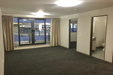 Photo of property in Dual Apartments, 310/142u Vivian Street, Te Aro, Wellington, 6011