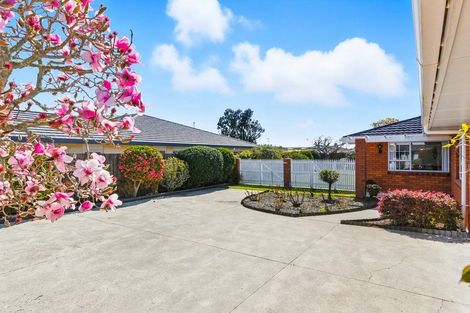 Photo of property in 22 Andrew Street, Waikanae, 5036