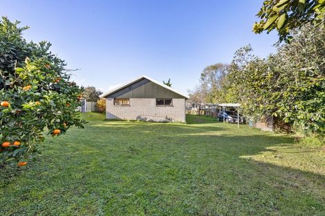 Photo of property in 6 Denz Street, Maeroa, Hamilton, 3200