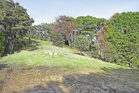 Photo of property in 99 Birdsall Road, Whangateau, 0985