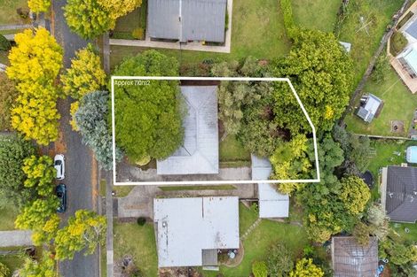 Photo of property in 5 Lovelock Place, Chartwell, Hamilton, 3210