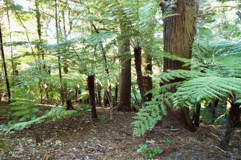 Photo of property in 4 Tranquil Glade, Hillcrest, Auckland, 0627