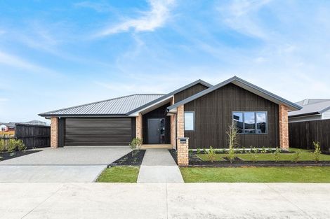 Photo of property in 17 Evans Street, Morrinsville, 3300