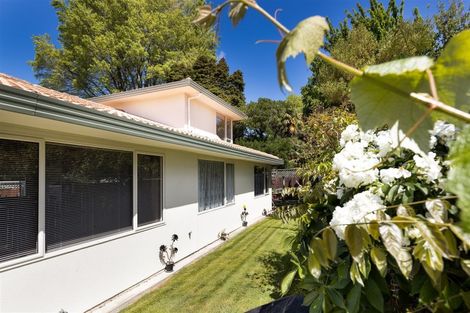 Photo of property in 7a Carr Street, Blenheim, 7201
