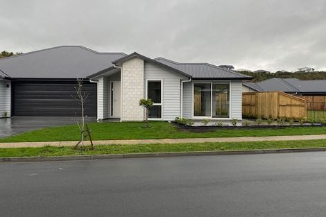 Photo of property in 62 Pakanga Grove, Pyes Pa, Tauranga, 3112