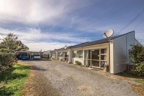 Photo of property in 163 Romilly Street, Westport, 7825