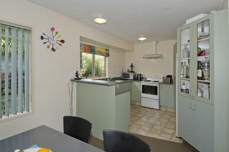 Photo of property in 51 Merivale Road, Parkvale, Tauranga, 3112