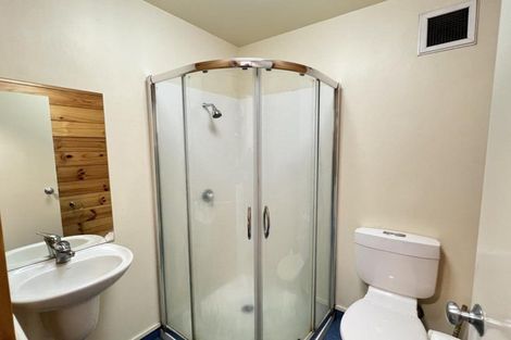 Photo of property in Basin Reserve Complex, 58/4 Sussex Street, Mount Cook, Wellington, 6021