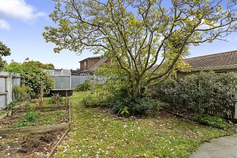 Photo of property in 13 Market Street, Leeston, 7632