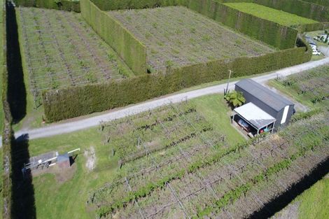 Photo of property in 566 Belk Road, Omanawa, Tauranga, 3171