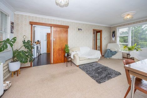 Photo of property in 43 Urlich Avenue, Melville, Hamilton, 3206