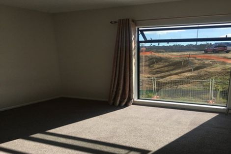 Photo of property in 29 Lemon Tree Lane, Flat Bush, Auckland, 2019