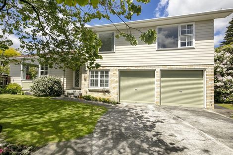 Photo of property in 19 Waddington Drive, Naenae, Lower Hutt, 5011