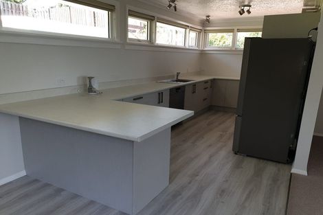 Photo of property in 67 Mckerrow Street, Shiel Hill, Dunedin, 9013