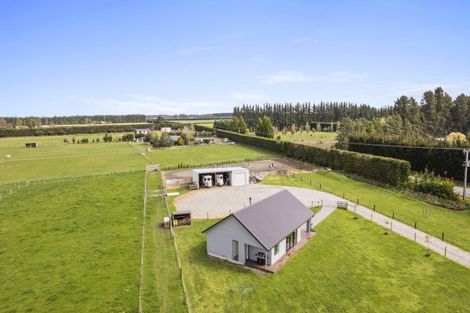 Photo of property in 1136 Poyntzs Road, Eyrewell, Rangiora, 7476