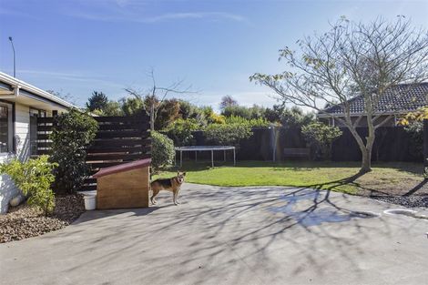 Photo of property in 22 Camleigh Close, Kaiapoi, 7630