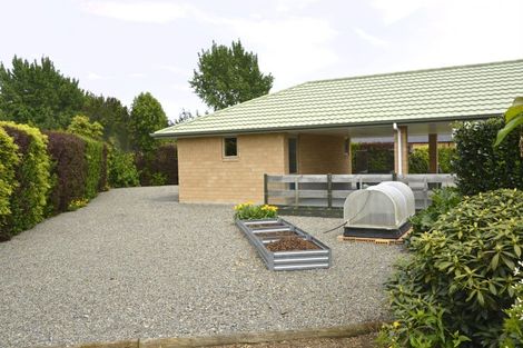 Photo of property in 24 Mill Grove, Clareville, Carterton, 5713