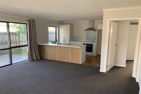 Photo of property in 6a Williams Place, Fairfield, Hamilton, 3214