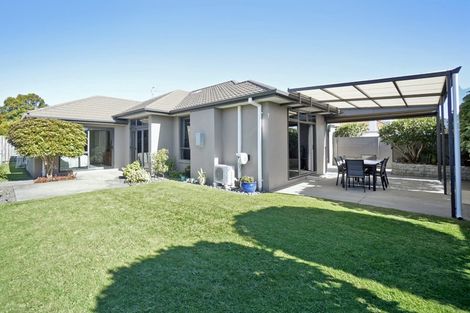 Photo of property in 20c Moehau Street, Te Puke, 3119