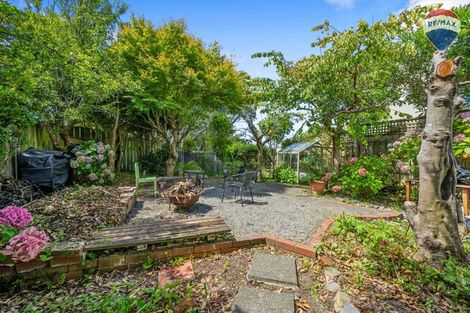 Photo of property in 43 Bidwill Street, Mount Cook, Wellington, 6021