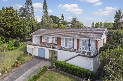 Photo of property in 12 Mahoe Street, Melville, Hamilton, 3206