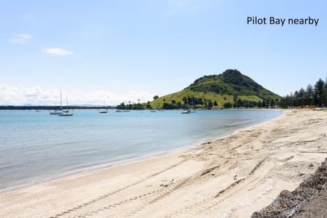 Photo of property in 40 Maunganui Road, Mount Maunganui, 3116