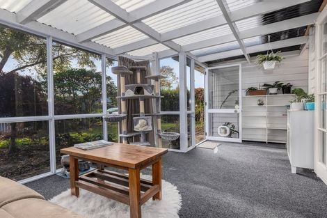 Photo of property in 74 Kennedy Drive, Levin, 5510