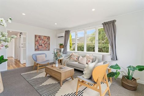 Photo of property in 6 Maire Street, Levin, 5510