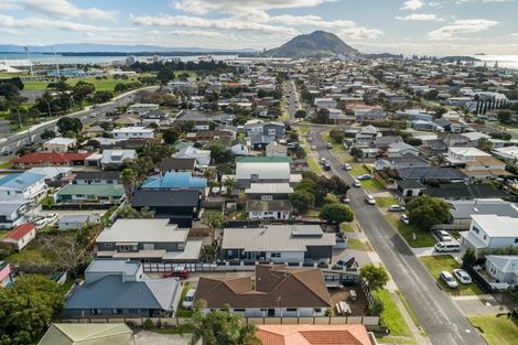 Photo of property in 60a Campbell Road, Mount Maunganui, 3116
